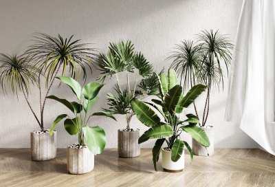 现代植物盆栽3D模型下载